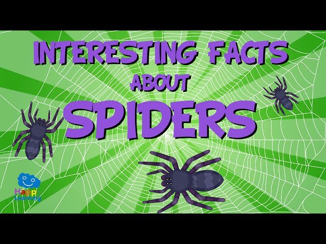 8 Captivating Facts About Spider Silk