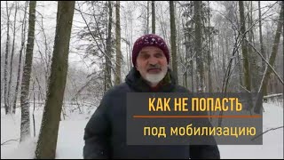 Как избежать мобилизации? Что надо делать? Бежать? Не вариант.