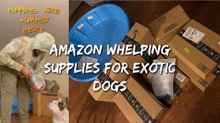 Whelping Supplies For My First Bully Litter