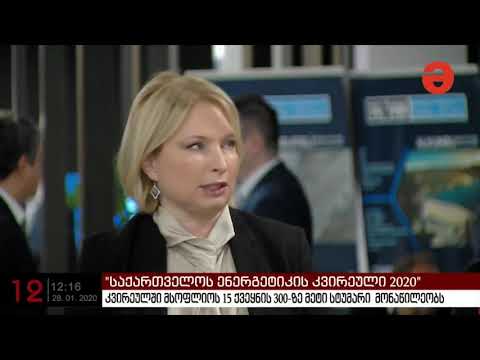 თურნავა:მზის ელექტროსადგურის მშენებლობაზე ინვესტორთა ინტერესი მაღალი იქნება