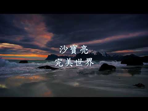 沙寶亮 - 完美世界.mp4