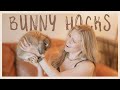 Bunny Life Hacks