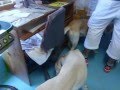 大きなお友達☆