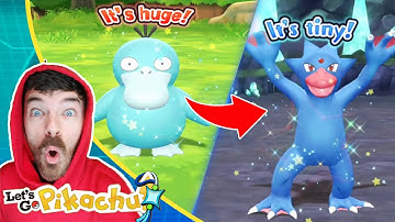 Shiny Psyduck & Shiny Golduck Caught Wild | Pokemon Let