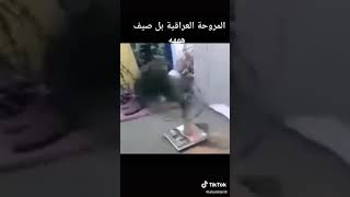 مقاطع مضحكه مروحه