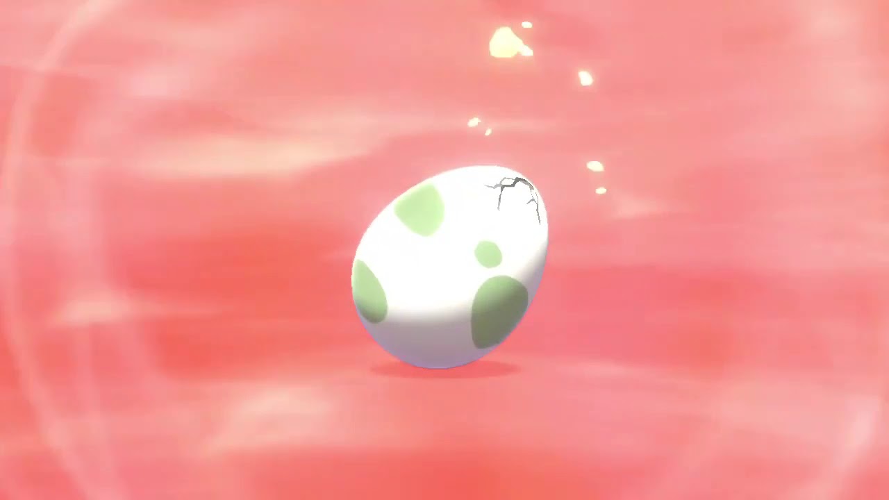 Pokemon Schild - Shiny Flamiau - Zufällig geschlüpft