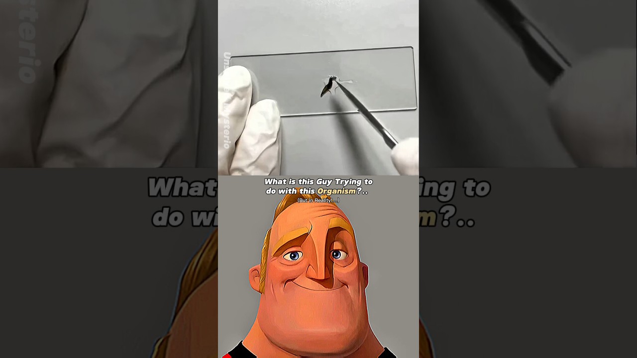 How this Organism is dangerously insane! 