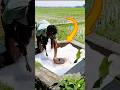 Amazing 5-Inch PVC Water Release Trick! 💧🔥#shorts #trending #explore #short