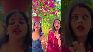 Good Boy Goes To Heaven