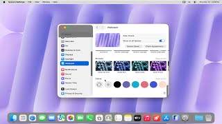 How To Use Solid Color Wallpaper on macOS [Guide] screenshot 1