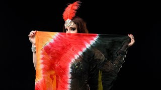 Aziza butterfly bellydancing at the night заказать танец живота رقص شرقي screenshot 4