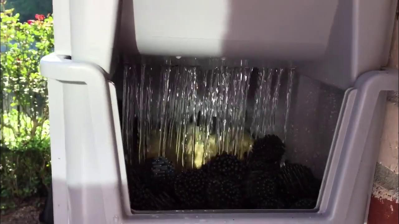 Mini Bakki Shower with Phoam Phraxinator YouTube