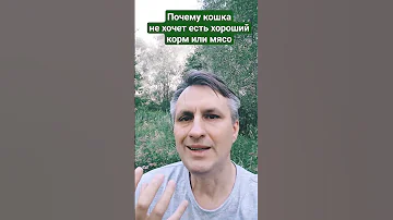 Почему кошка не хочет хороший корм и даже мясо