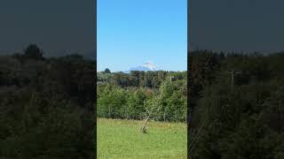 PARCELA CLUB DE POLO SUR - PARCELACIÓN OTTENDORF - PUERTO VARAS