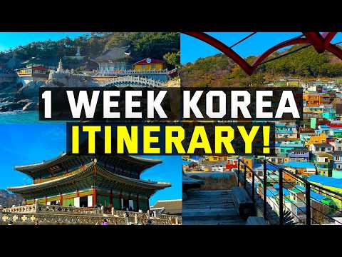 South Korea In 7 DAYS! The PERFECT 1 Week South Korea Itinerary!
