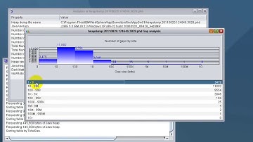 WASND Tutorial: GC, Heap Dump & Thread Analysis in WAS