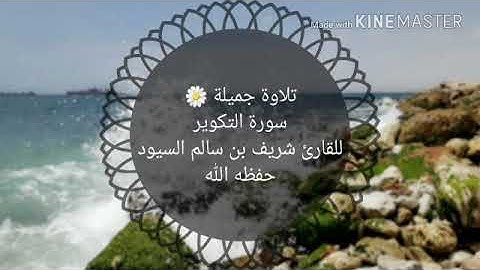 القارئ شريف السيود - سورة التكوير