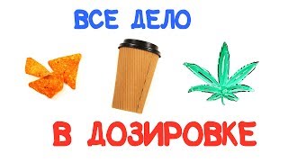 Все дело в дозировке [AsapSCIENCE]