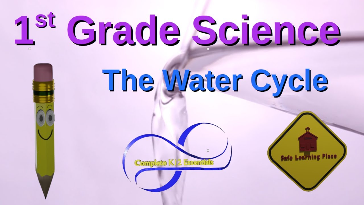 1st Grade Science The Water Cycle precipitation, collection, evaporation and condensation