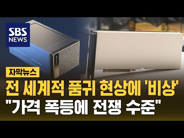 전 세계적 품귀 현상에 '비상'...가격 폭등에 전쟁 수준 (자막뉴스) / SBS class=