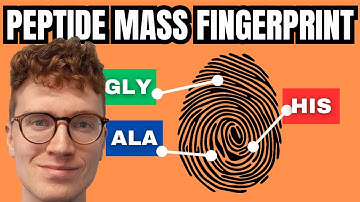 Peptide Mass Fingerprinting (PMF) Simply Explained