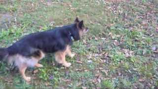 Diana: 11 anni e non sentirli! by Jessica24 109 views 11 years ago 3 minutes, 42 seconds