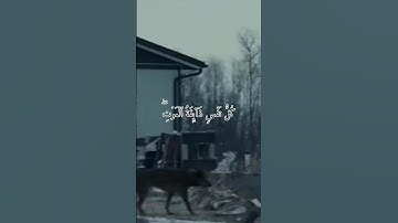 #تلاوة_هادئة #حسام_الدين_عبادي