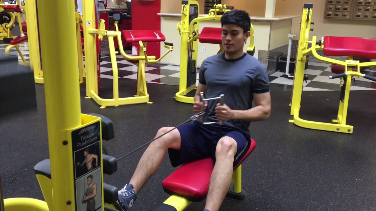 The Back and Bicep Workout YouTube