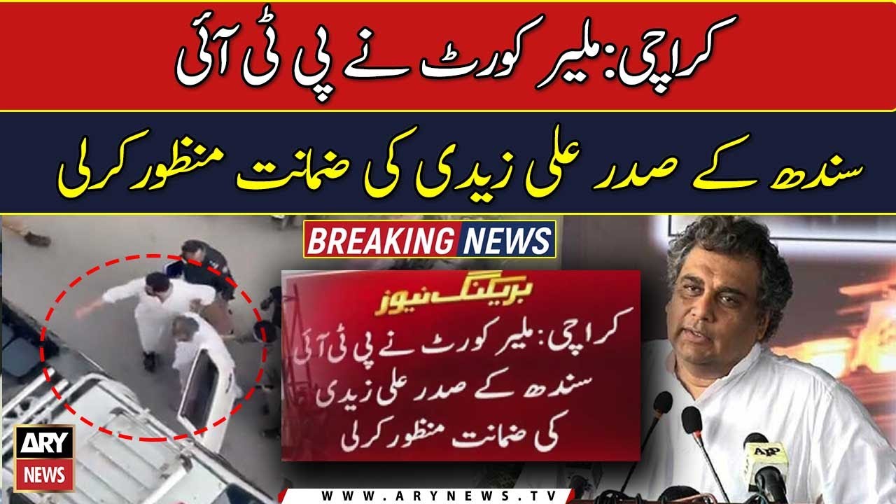 Malir court grants bail to PTI's Ali Zaidi