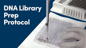 DNA Library Prep Protocol for CUT&RUN: A Visual Guide | Cell Signaling Technology