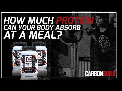 How Much Protein
