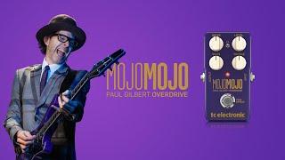 MOJOMOJO PAUL GILBERT EDITION - Official Product Video