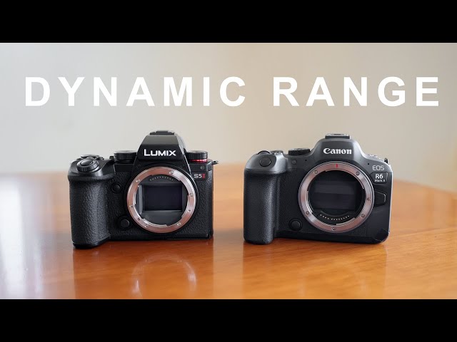 Panasonic S5 II vs Canon R6 MK II Dynamic Rage (Latitude Test