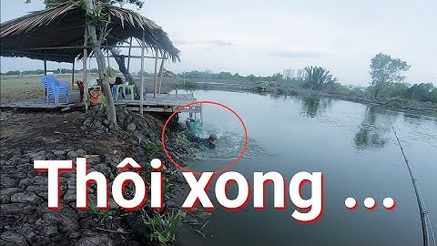 CÂU LURE CÁ LÓC Hải N Gạ Kèo Cha Già Vlogs Và Cái Kết | snakehead fishing