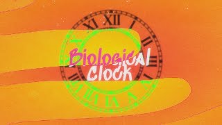 "Biological Clock" (Official Lyric Video) by The Marsh Family