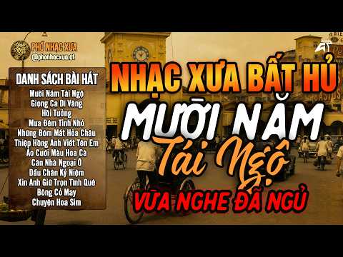 Mười Năm Tái Ngộ - LK Bolero Trữ Tình Hay Nhất Hiện Nay, Nhạc Vàng Xưa Chọn Lọc VỪA NGHE ĐÃ NGỦ