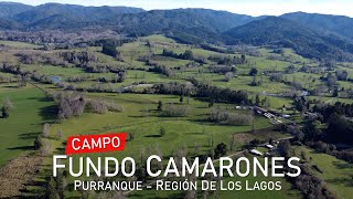 Campo en Purranque, Camarones – Región de Los Lagos