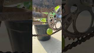 Lemon Vs Cycle  shorts experiment experiment trendingreels