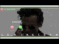 Lutt Le Gaya - Ringtone Dhurandhar Ranveer Singh Akshaye Khanna Shashwat Sachdev song ringtoon | bgm