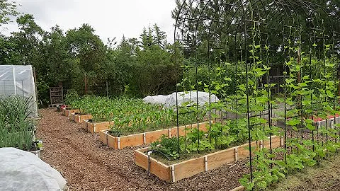 Susan's Garden: Everyone Can Grow a Garden (2022) #9