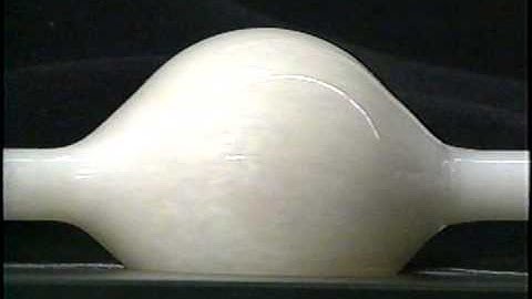 Hemodynamics: An Interactive Model