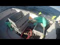 Halibut fishing off Isle au Haut Maine!