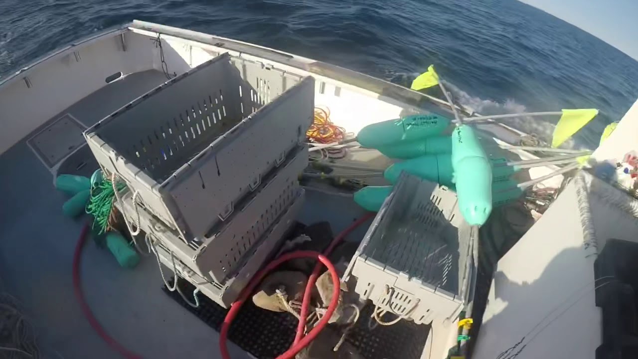 Halibut fishing off Isle au Haut Maine!