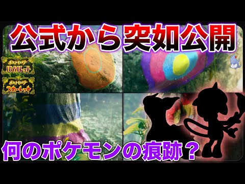 【新情報】新ポケモンの痕跡！？そもそもポケモンではない？公開された画像についてちょい掘り解説【ポケモンスカーレット・バイオレット】
