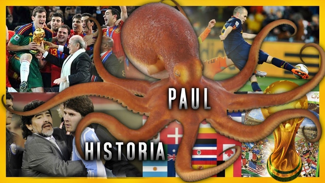Se MURIÓ después de PREDECIR el Mundial | PULPO PAUL HISTORIA