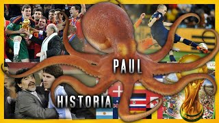Se Murió Después De Predecir El Mundial Pulpo Paul Historia