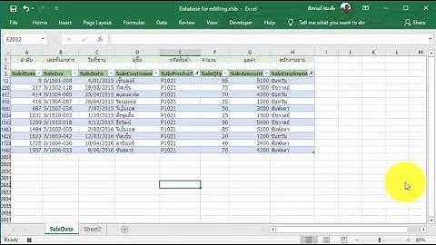 [Excel Fever] กรองข้อมูลด้วย Slicer