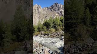 Долина ледника Актру вас не отпустит домой #ледник #долина #алтай