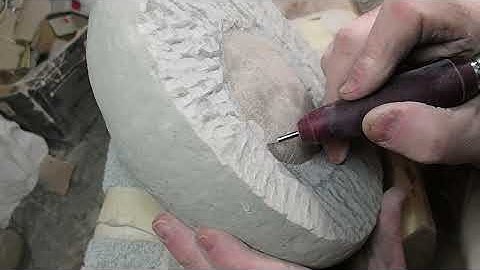 Prepping a family of crabs.  This is Momma Crab - Part 2 of 3