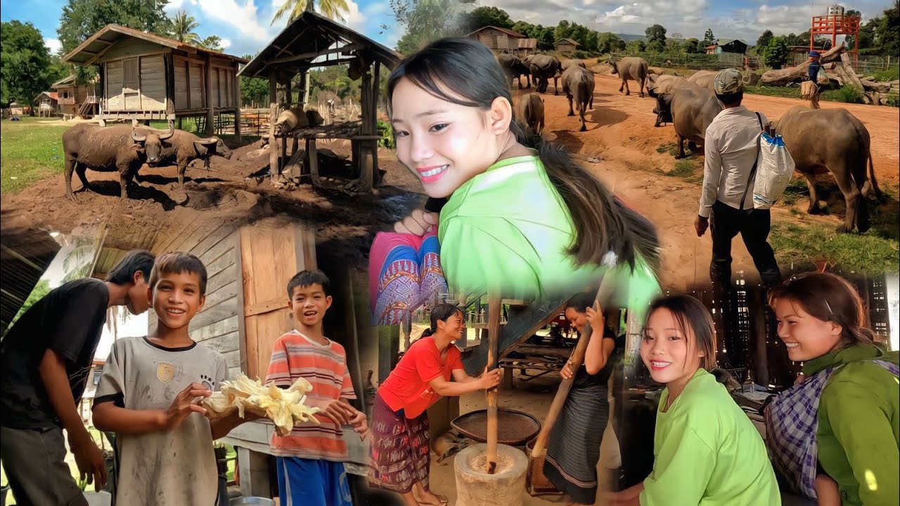 เยือนหมู่บ้านอาปอกหมู่บ้านลึกลับโบราณเจอช้างเผือกเชือกงาม 5 คน,อดใจไม่ไหวเลยเข้าไปจีบสาวเผ่าตะโอ้ย